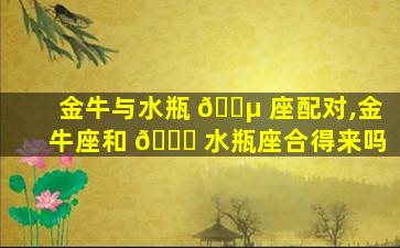 金牛与水瓶 🐵 座配对,金牛座和 🐎 水瓶座合得来吗